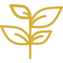 tree-plant-icon